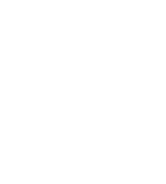The Tweet bird